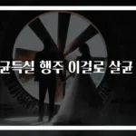 세균득실 행주 이걸로 살균 끝