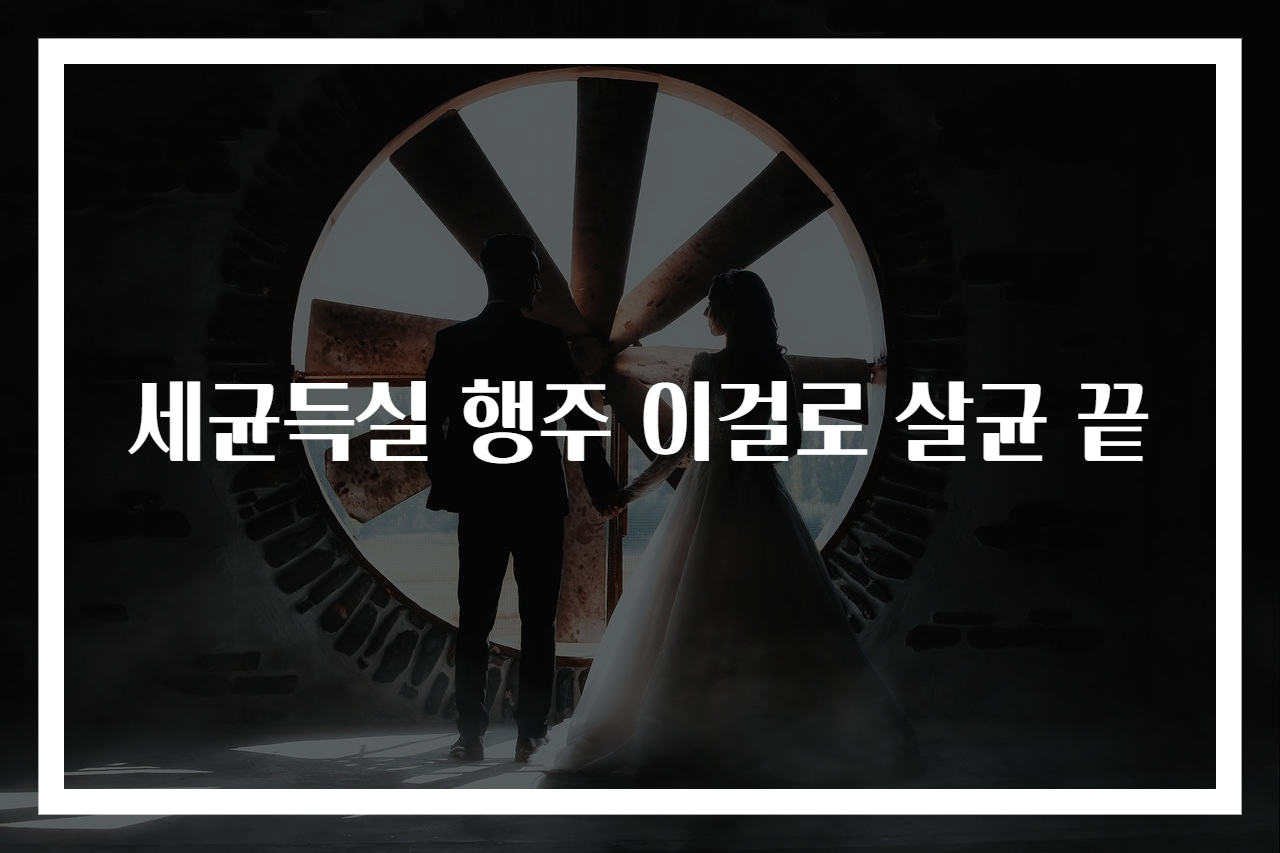 세균득실 행주 이걸로 살균 끝