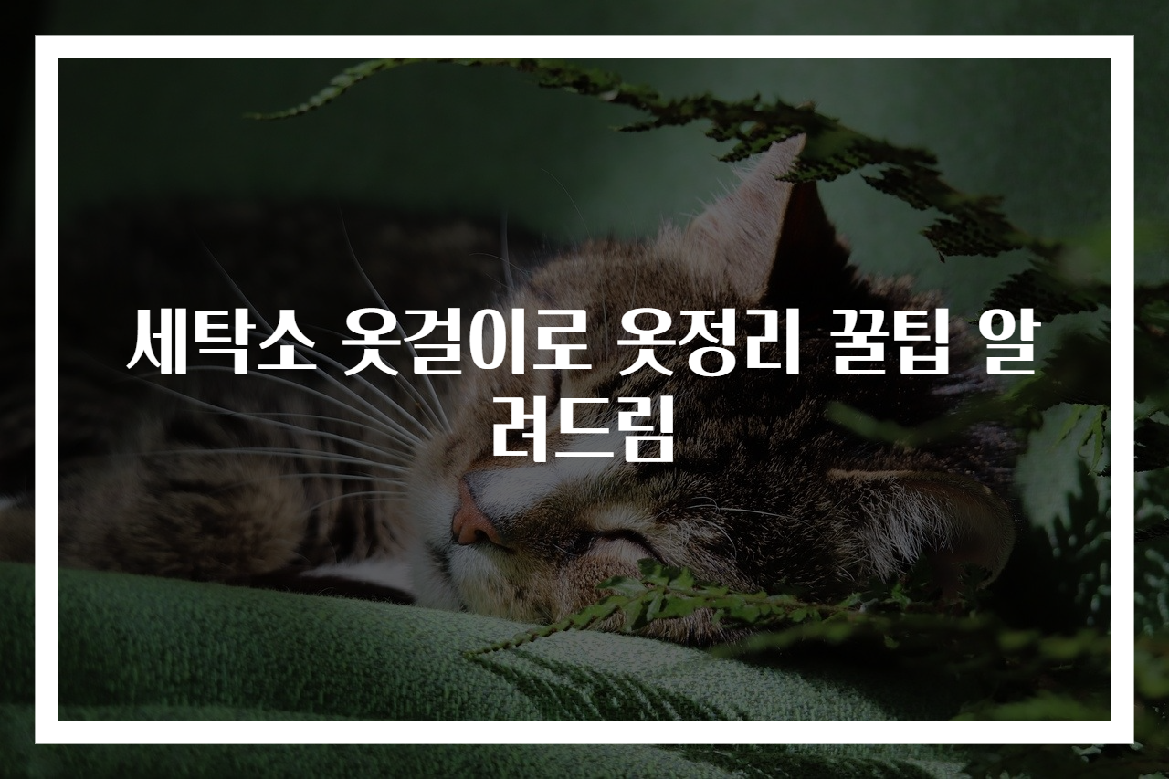 세탁소 옷걸이로 옷정리 꿀팁 알려드림