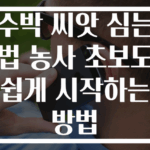 수박 씨앗 심는 법 농사 초보도 쉽게 시작하는 방법