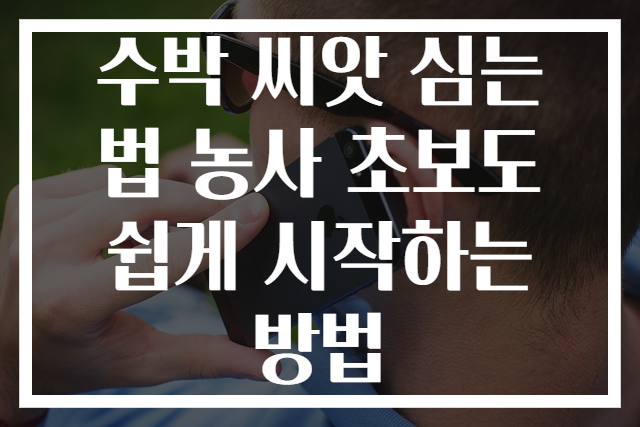 수박 씨앗 심는 법 농사 초보도 쉽게 시작하는 방법