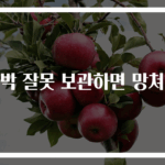 수박 잘못 보관하면 망쳐요
