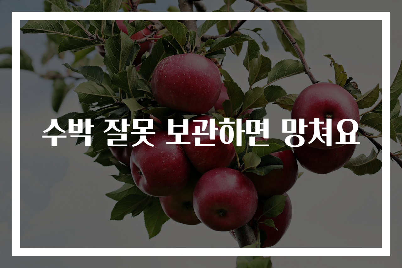 수박 잘못 보관하면 망쳐요