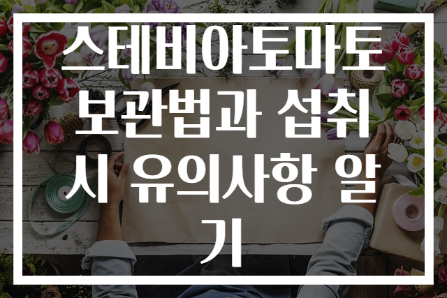 스테비아토마토 보관법과 섭취 시 유의사항 알기