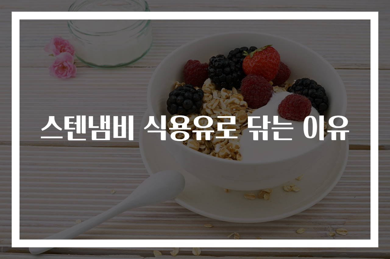 스텐냄비 식용유로 닦는 이유