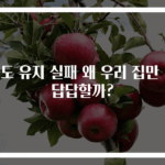 습도 유지 실패 왜 우리 집만 더 답답할까?