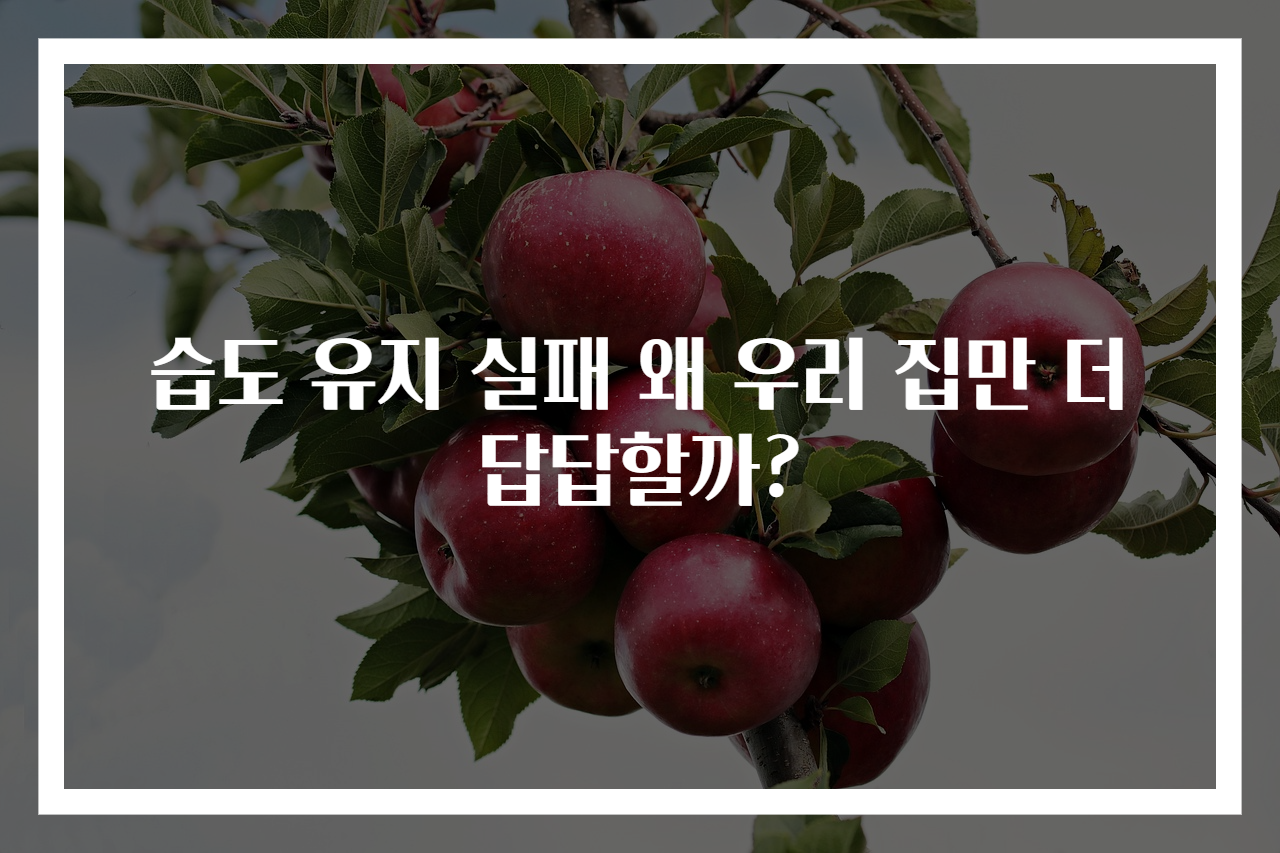 습도 유지 실패 왜 우리 집만 더 답답할까?