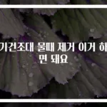 식기건조대 물때 제거 이거 하나면 돼요