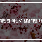 식혜밥알 이걸로 활용하면 대박