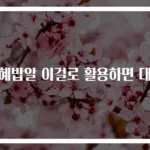 식혜밥알 이걸로 활용하면 대박