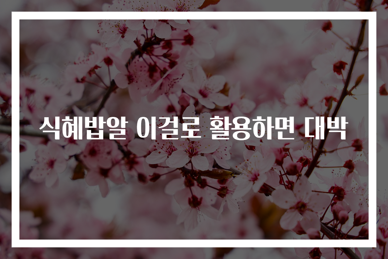 식혜밥알 이걸로 활용하면 대박