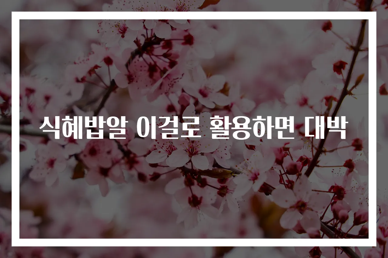 식혜밥알 이걸로 활용하면 대박