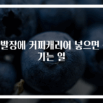 신발장에 커피캐리어 넣으면 생기는 일