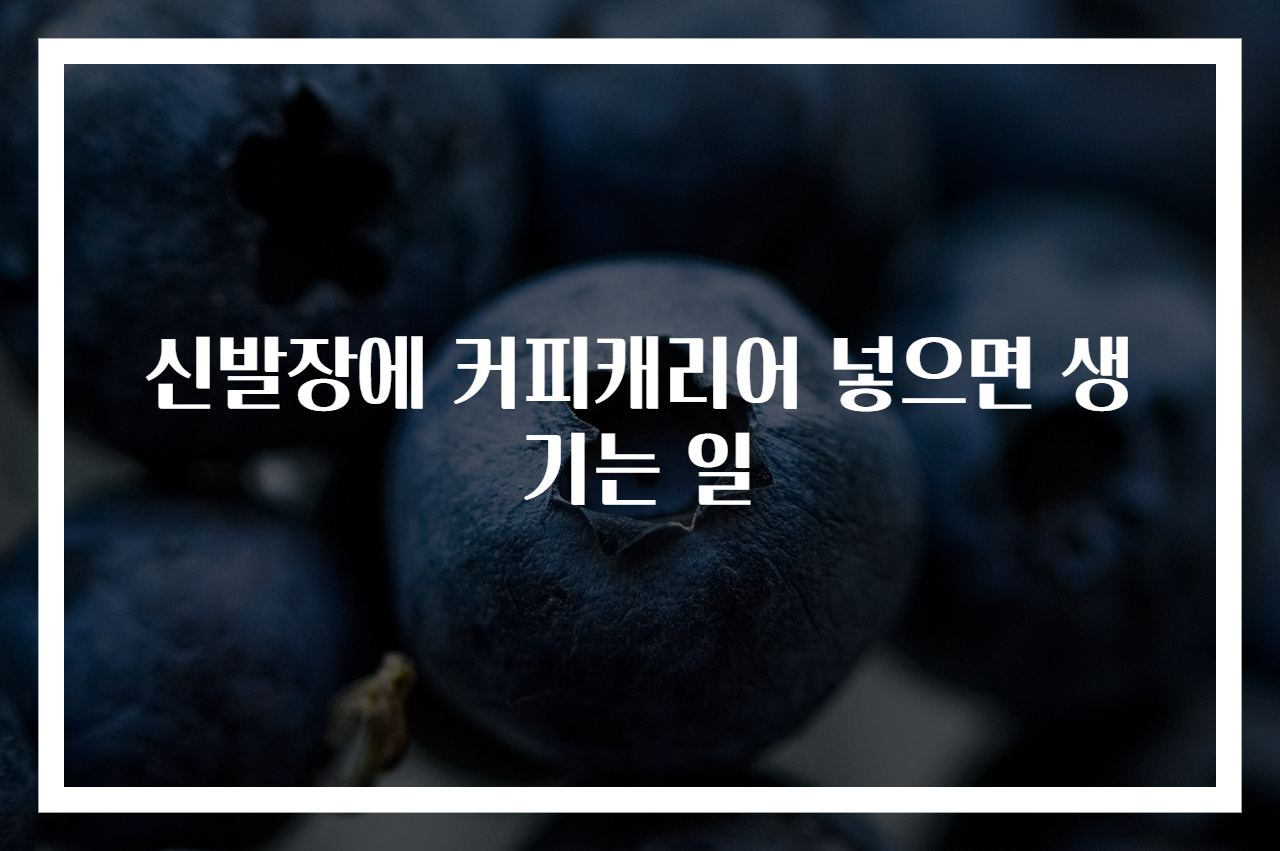 신발장에 커피캐리어 넣으면 생기는 일