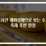 실시간 개화상황으로 보는 수국축제 추천 일정