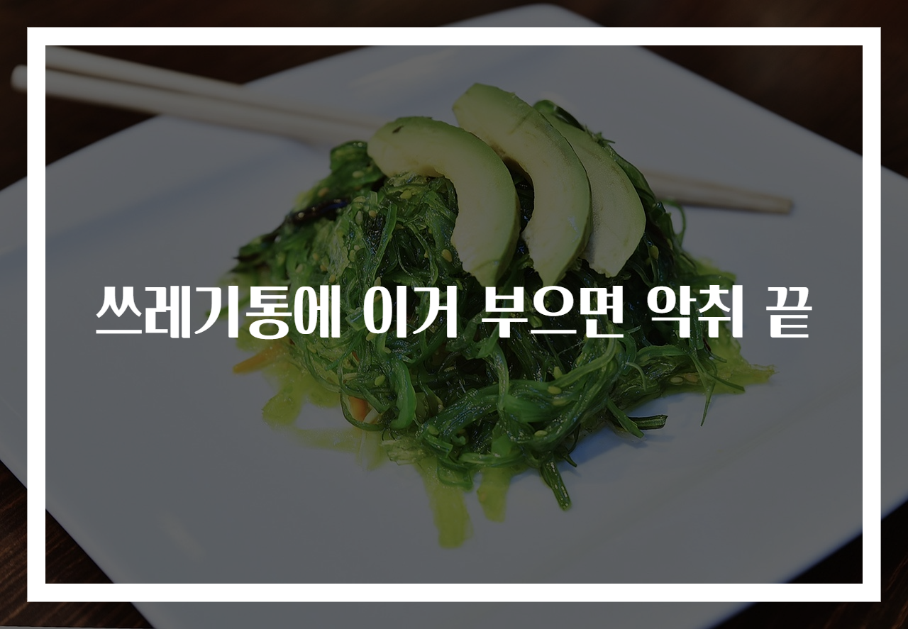 쓰레기통에 이거 부으면 악취 끝