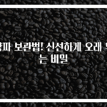 양파 보관법! 신선하게 오래 두는 비밀