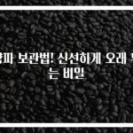 양파 보관법! 신선하게 오래 두는 비밀