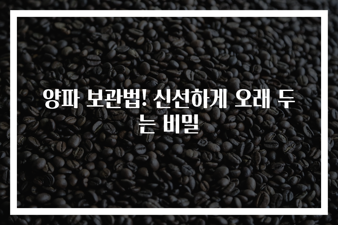 양파 보관법! 신선하게 오래 두는 비밀