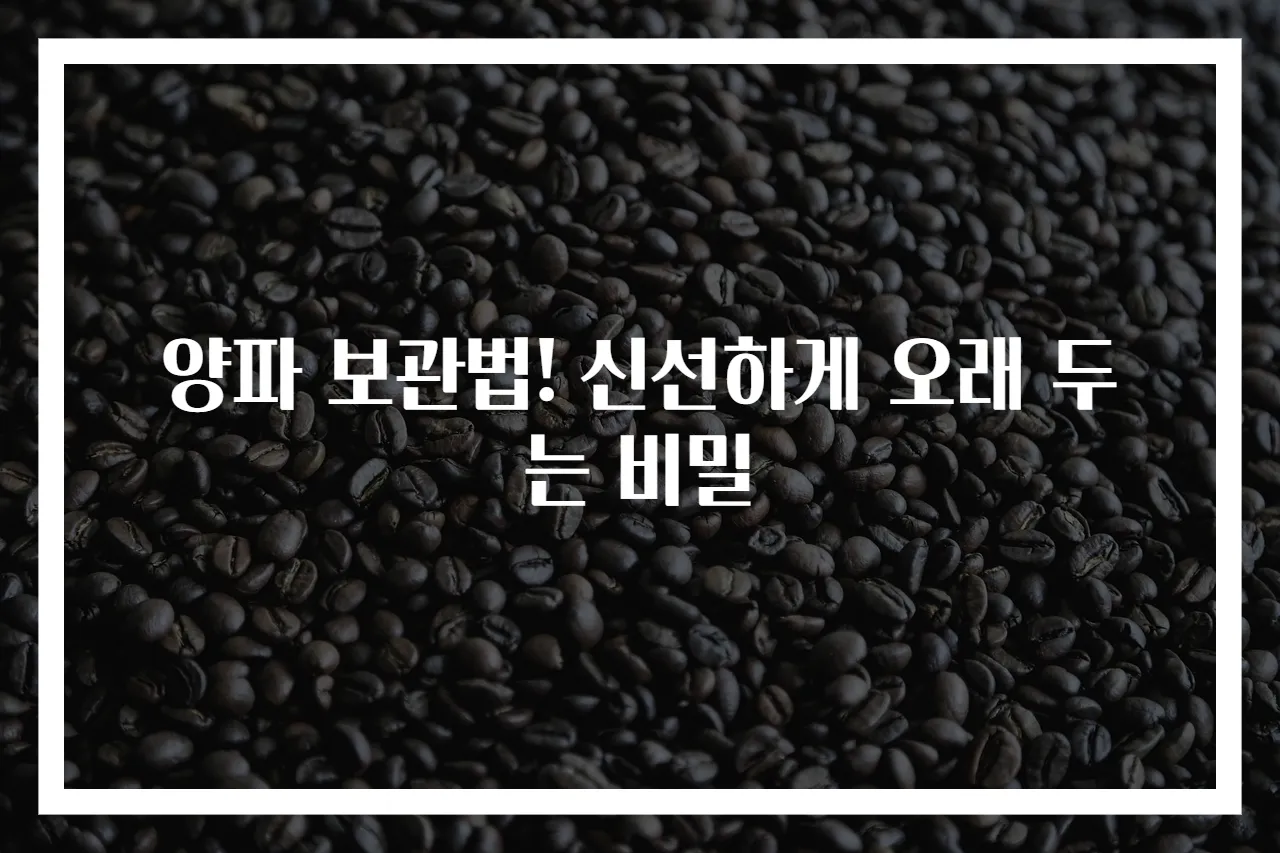 양파 보관법! 신선하게 오래 두는 비밀