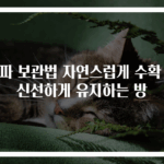 양파 보관법 자연스럽게 수확 후 신선하게 유지하는 방