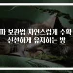 양파 보관법 자연스럽게 수확 후 신선하게 유지하는 방