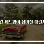 얼린 페트병이 장마철 해결사?