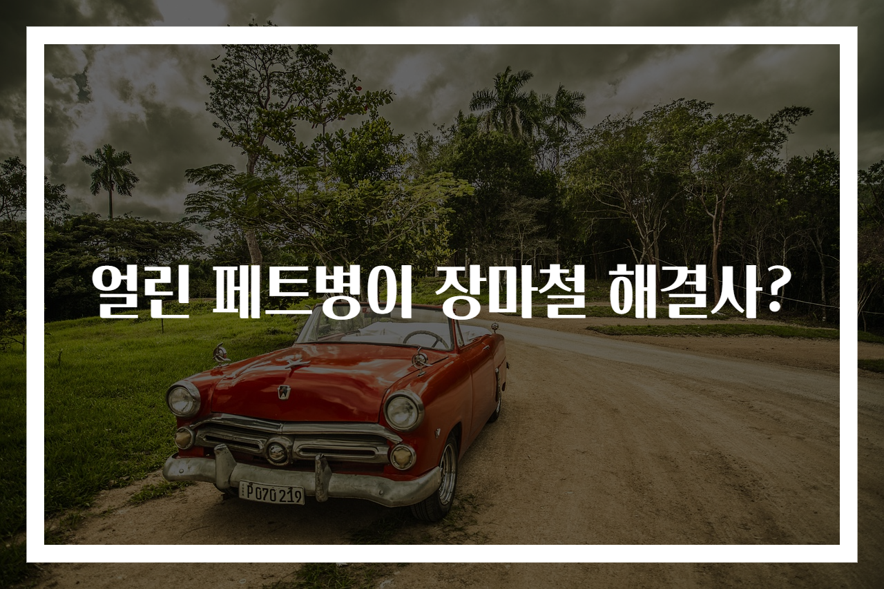 얼린 페트병이 장마철 해결사?