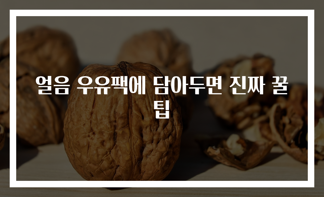 얼음 우유팩에 담아두면 진짜 꿀팁