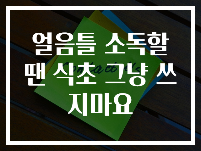 얼음틀 소독할 땐 식초 그냥 쓰지마요
