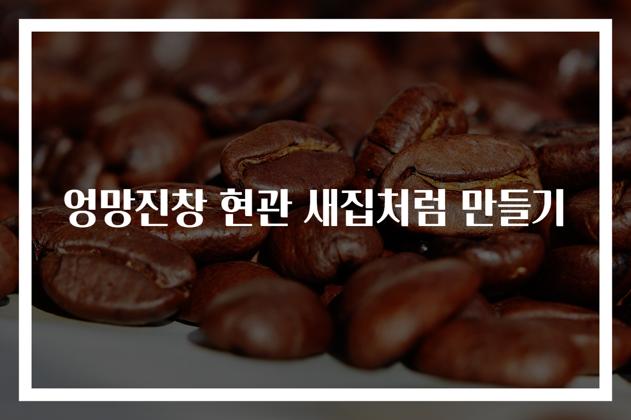 엉망진창 현관 새집처럼 만들기
