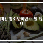 에어컨 청소 안하면 이 일 생겨요