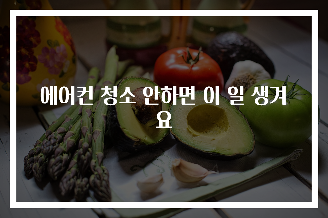 에어컨 청소 안하면 이 일 생겨요