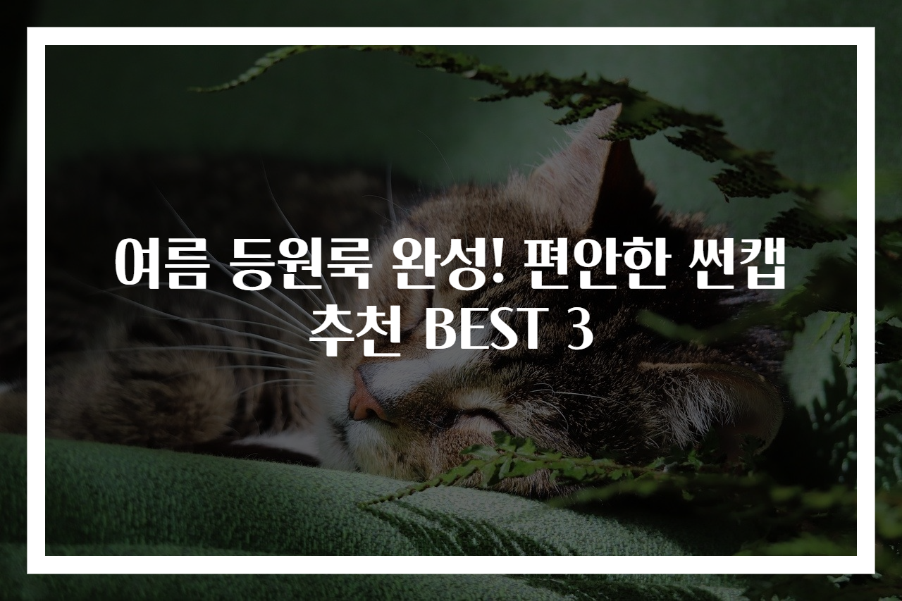 여름 등원룩 완성! 편안한 썬캡 추천 BEST 3