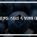 여름샌들 스타킹 속 보관이 대박