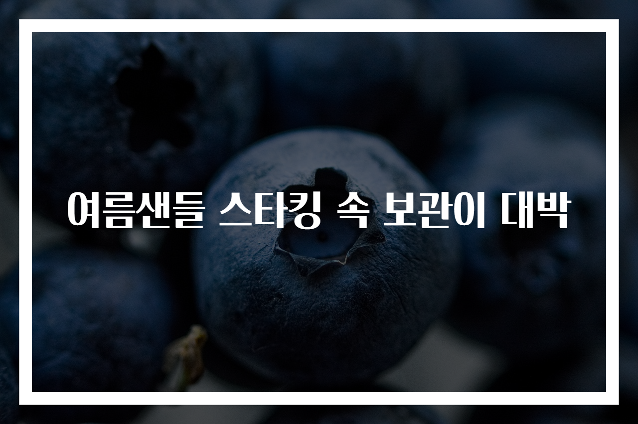 여름샌들 스타킹 속 보관이 대박