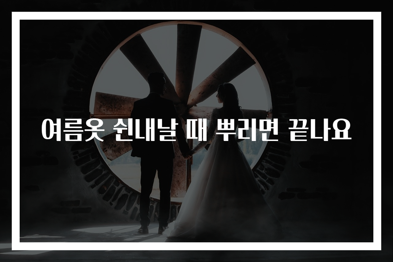 여름옷 쉰내날 때 뿌리면 끝나요