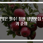 예약은 필수! 창원 냉면맛집 인기 순위