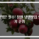 예약은 필수! 창원 냉면맛집 인기 순위