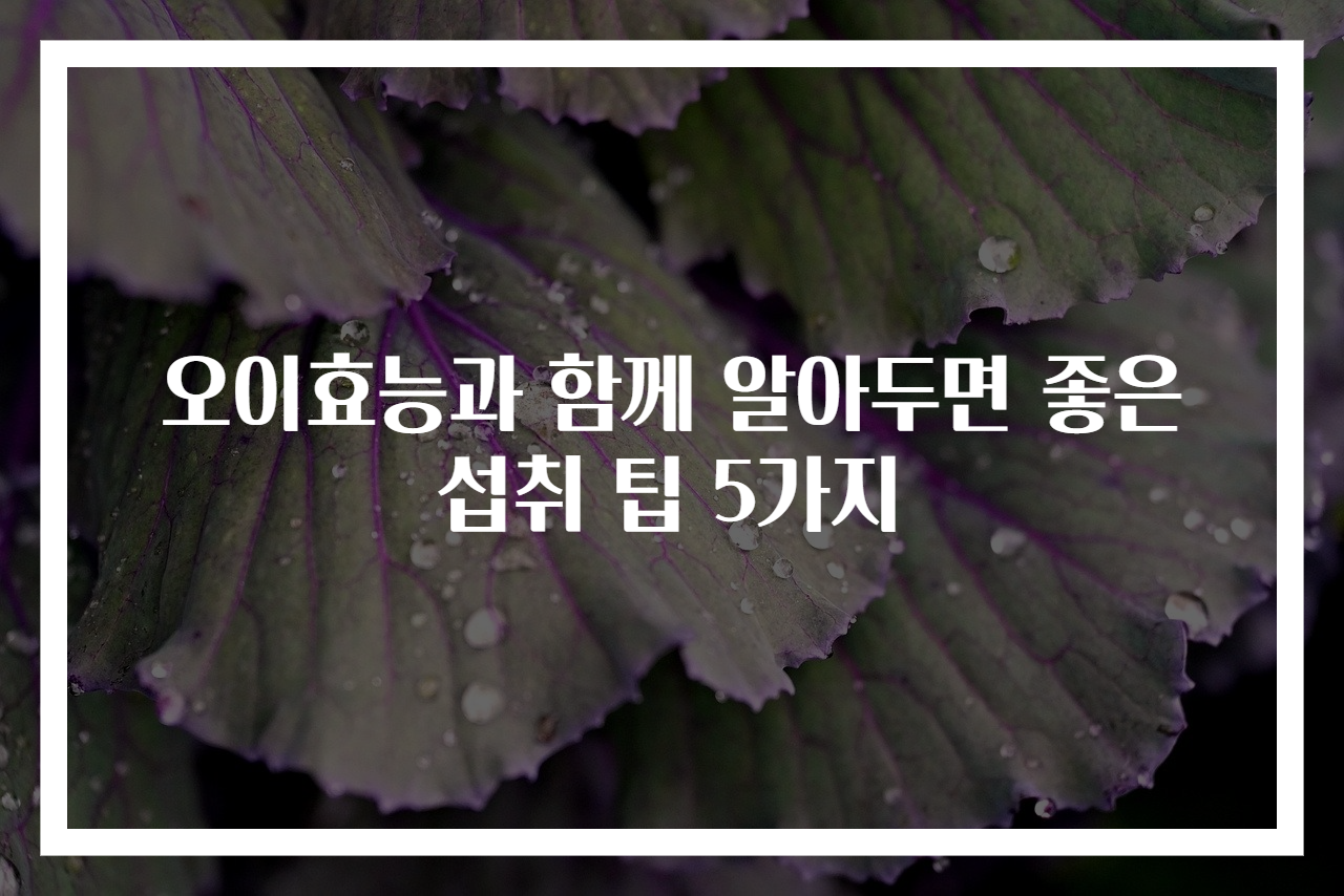 오이효능과 함께 알아두면 좋은 섭취 팁 5가지