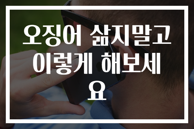 오징어 삶지말고 이렇게 해보세요