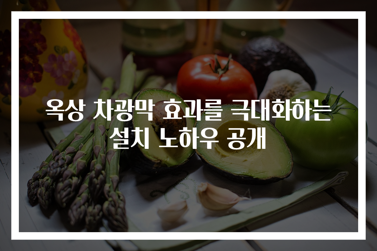 옥상 차광막 효과를 극대화하는 설치 노하우 공개