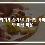 완벽하게 즐기자! 워터밤 가이드와 예상 비용