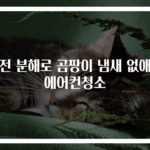 완전 분해로 곰팡이 냄새 없애는 에어컨청소