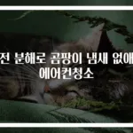 완전 분해로 곰팡이 냄새 없애는 에어컨청소