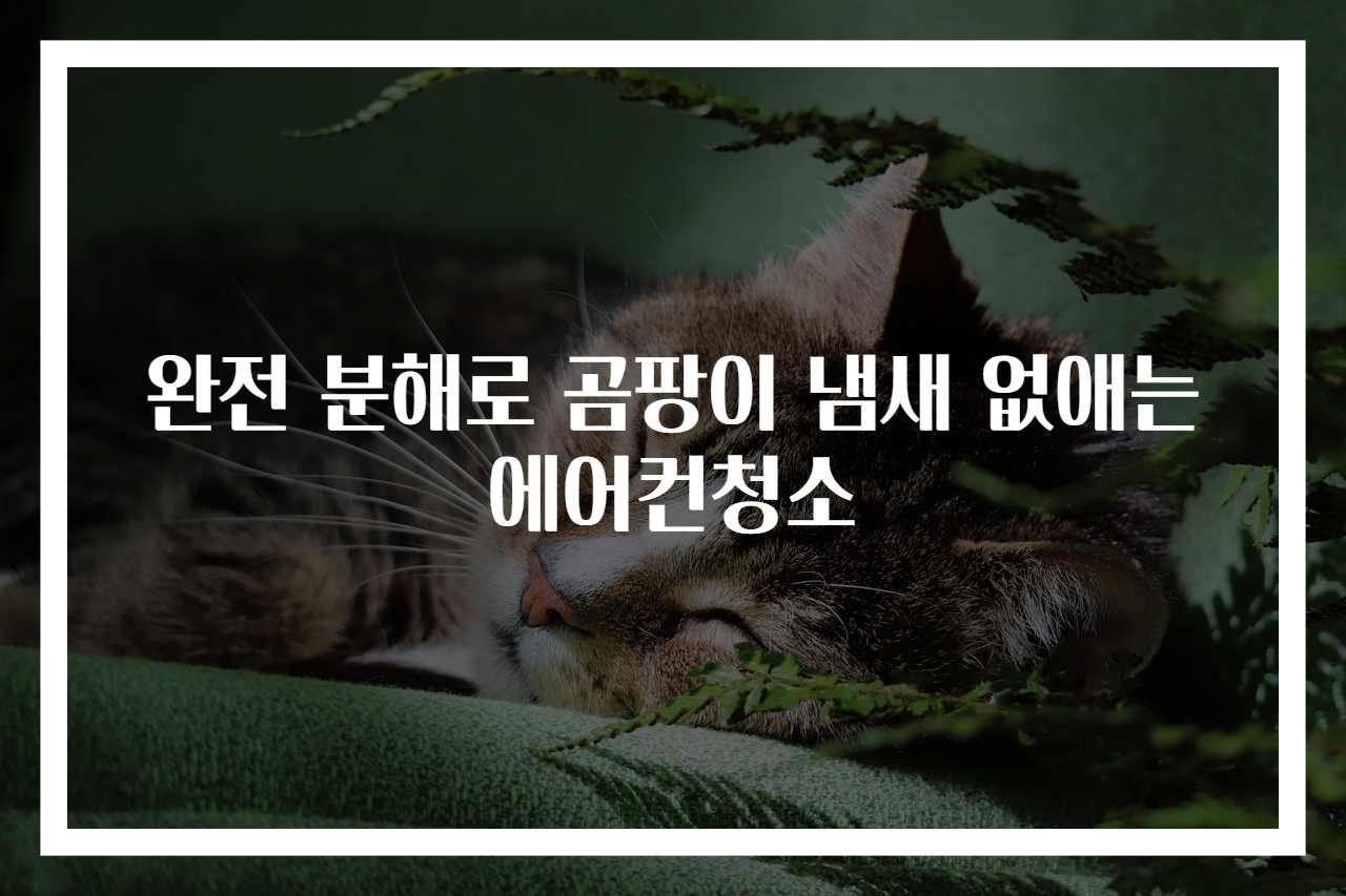 완전 분해로 곰팡이 냄새 없애는 에어컨청소