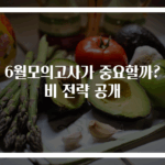 왜 6월모의고사가 중요할까? 대비 전략 공개