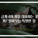 왜 금계국이 봄을 대표하는 꽃일까? 알아보는 특별한 정