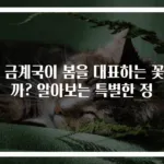 왜 금계국이 봄을 대표하는 꽃일까? 알아보는 특별한 정