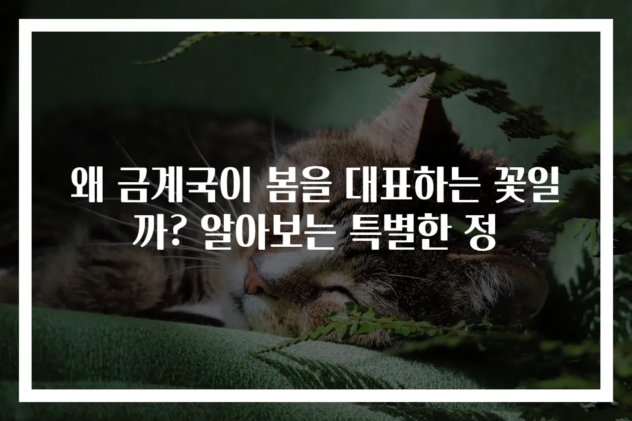 왜 금계국이 봄을 대표하는 꽃일까? 알아보는 특별한 정